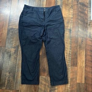 Ann Taylor Factory Capri Pants